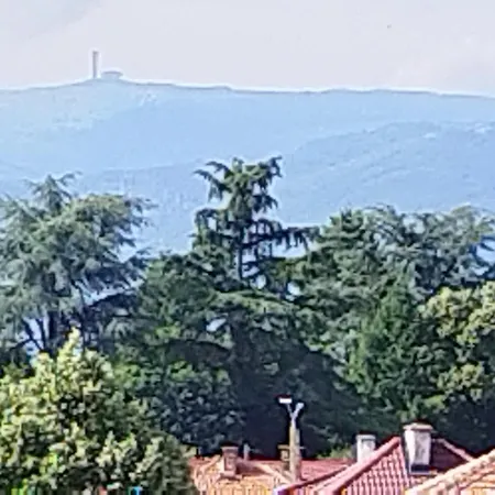 дора